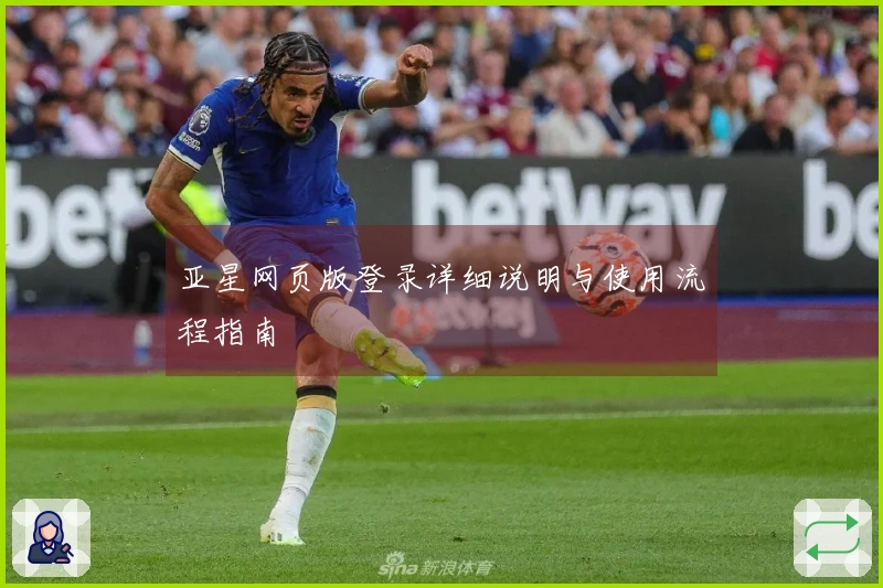 亚星网页版登录详细说明与使用流程指南