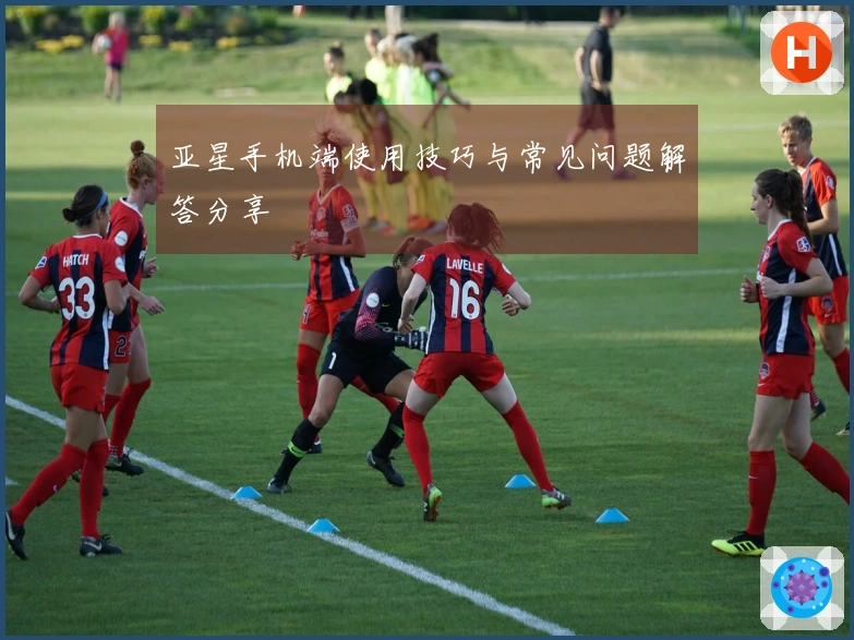 亚星手机端使用技巧与常见问题解答分享